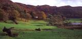 Loughrigg tarn 1