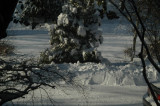 ir-081221_0076.jpg