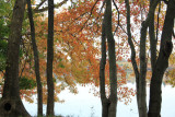 ir-101024_11-07_8898.jpg