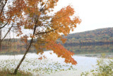 ir-101024_11-30_8907.jpg