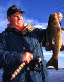 November Smallmouth - Honeywell  - Ad Sheet