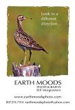 Earth Moods Photography - Post Card