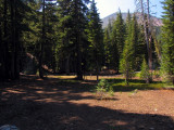 Circular clearing for my campsite at Magee lake