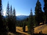 Steavelle Meadows in the Trinity Alps