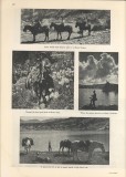 Pacific Crest Trail photos - Sunset Magazine July 1936