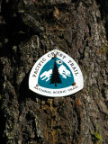 PCT Trailhead sign at Cook n Green pass