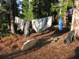 Drying out after 3 days of rain!