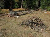 Drying evenings campfire wood