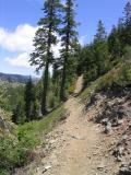 Pacific Crest Trail north from Shelly Meadows