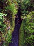 High Bridge view