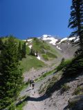 Little Zigzag canyon and Mt Hood