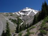 Mt Hood and Zigzag canyon