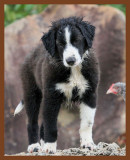 jake-342-7-4-10b.JPG