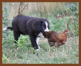 jake-173-7-4-10b.JPG