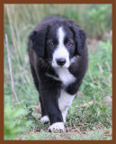 jake-178-7-4-10b.JPG