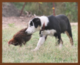 monty-047-7-2-10b.JPG