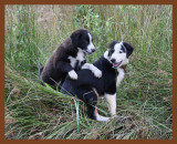 jake-monty492-7-5-10b.JPG