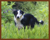 8-16-10-monty-318b.JPG