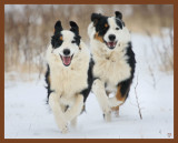 mallie-monty-1-10-11-355b.JPG