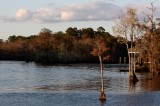 Waccamaw River_8802