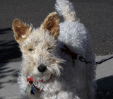 Molly