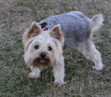 Jack