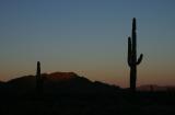 Nightfall in the Desert