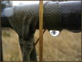 Water Drop Reflection