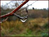 Water Drop Reflection