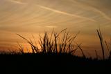 Pipers Lagoon - Sunset