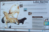 5 Museum outside Perto Pyramides Peninsula Valdez 20101103c.jpg