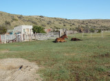 11 Estancia La Angostura Argentina 20101109a.jpg