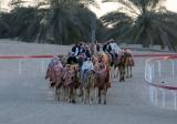 Practice at Al Wathba Camel track 060104.jpg