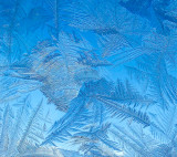 Open: frost_in_blue