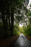 7th October 2008 <br> day of rain
