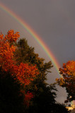 8th October 2008 <br> rainbow appeared