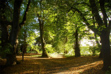 11th October 2008 <br> by the river