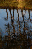 17th October 2008 <br> autumny
