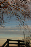 11th November 2008 <br> chilly morning