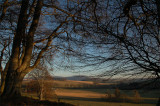 19th January 2009 <br> brighter