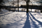 9th February 2009 cold morning