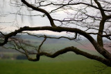 16th April 2009 <br> spring