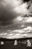 18th May 2009 <br> clearing