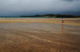 DSC_0052 copy.jpg
