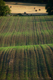 17th September 2009 <br> end of summer
