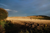 6th October 2010 beautiful day