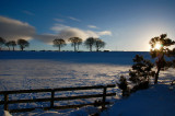 9th January 2011 <br> sunny