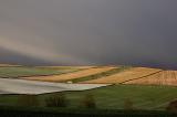DSC_0001s2.jpg