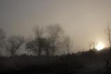 DSC_0022s.jpg