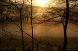 DSC_0072s.jpg